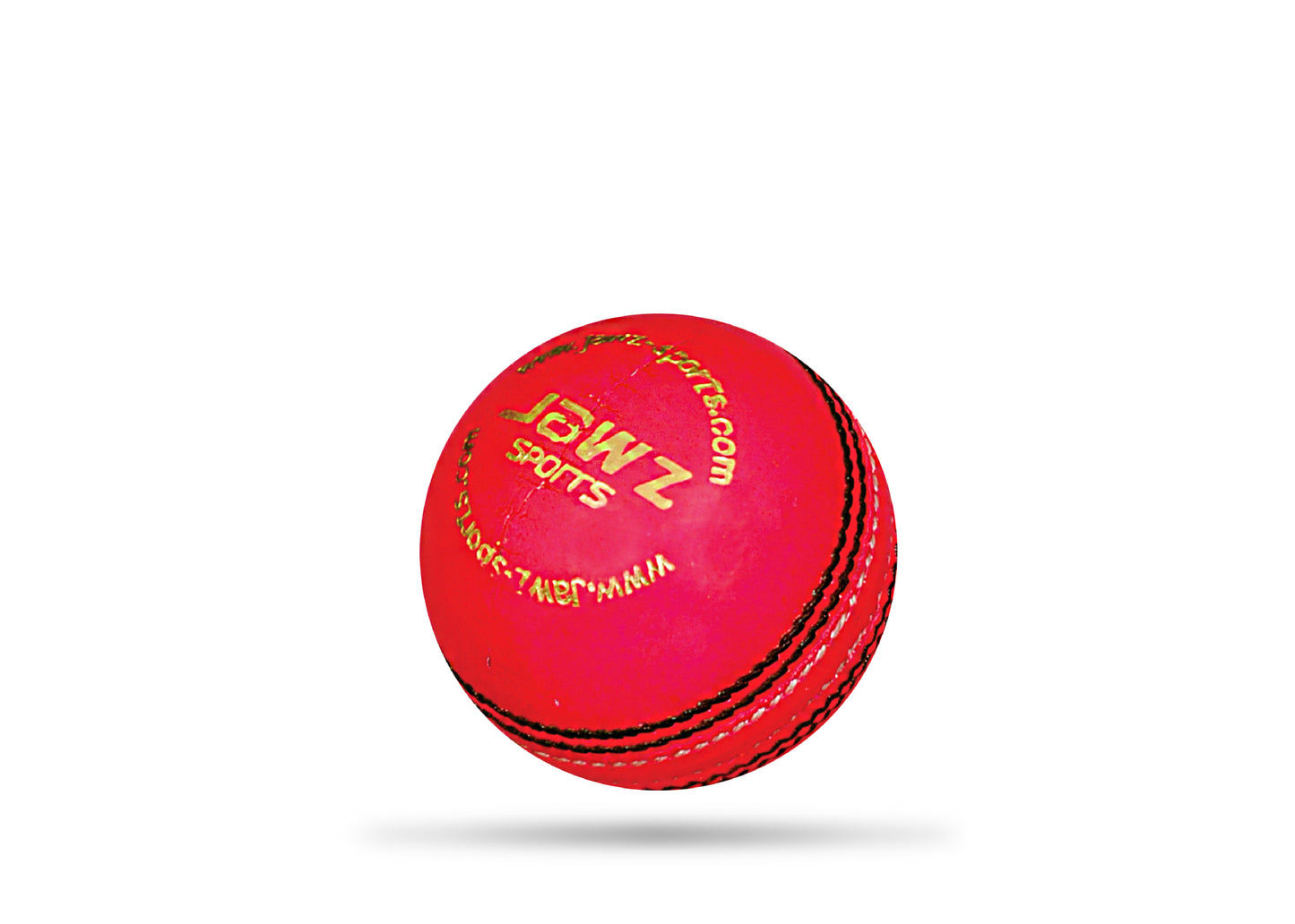 Weighted Cricket Balls