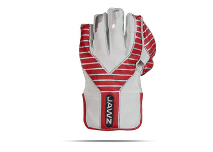 NHK Series wicket keeping gloves