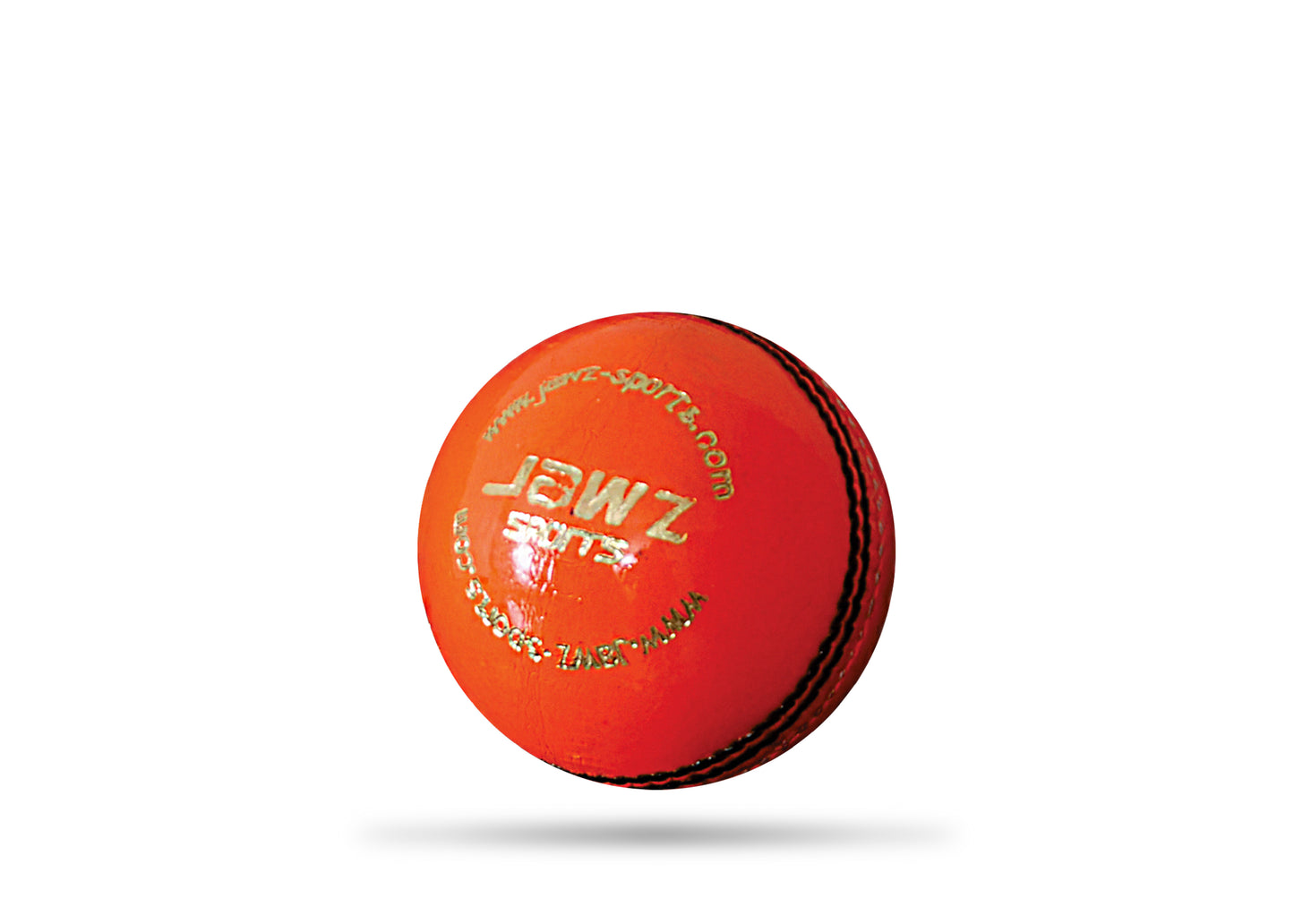 Weighted Cricket Balls